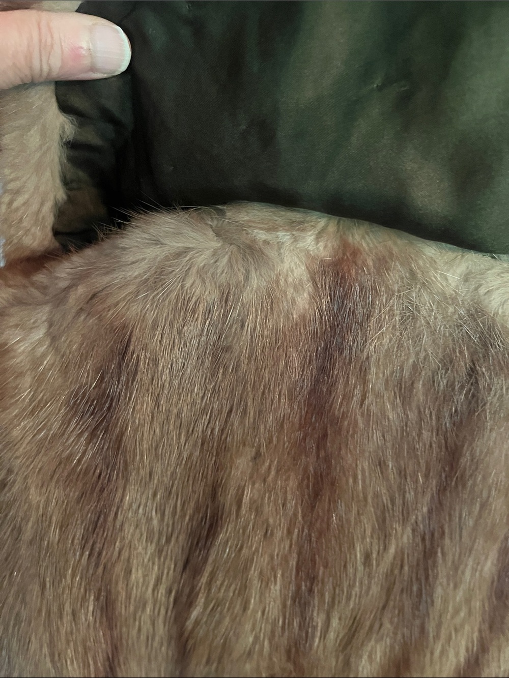 Luxurious Women's Muskrat Fur Coat - Brown - Picture 11 of 15